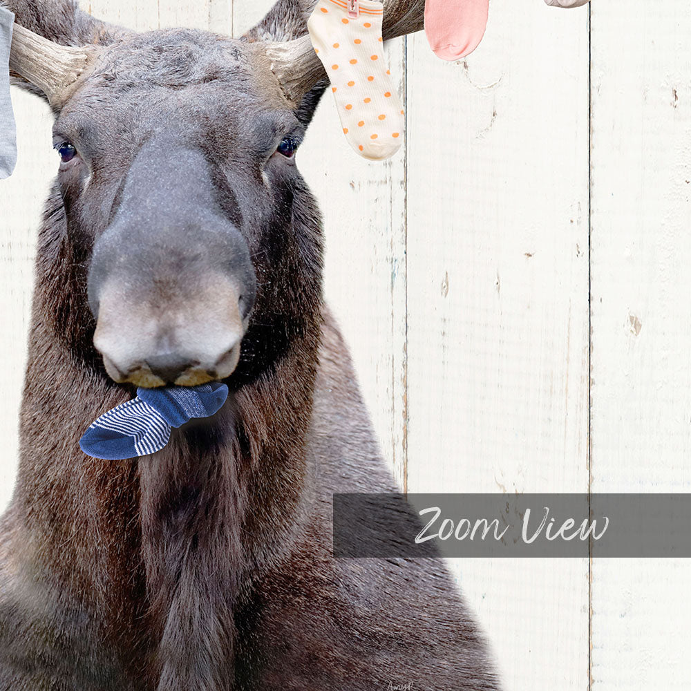 Moose With Lost Laundry Socks - Farmhouse Wall
