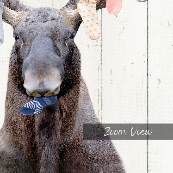 Moose With Lost Laundry Socks - Farmhouse Wall