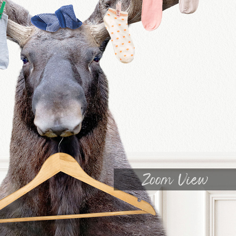 Moose Wearing Socks with Laundry Hanger