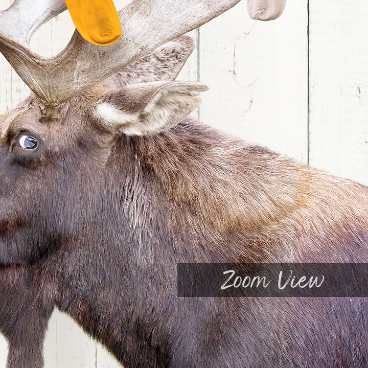 Moose - Lost Socks - Farmhouse Wall