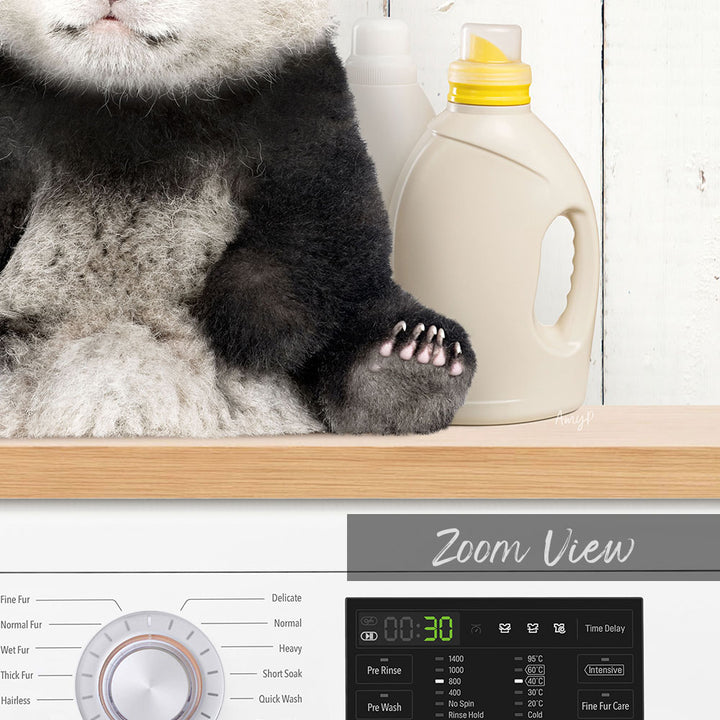 Baby Panda on Shelf Above Washing Machine - Farmhouse Wall