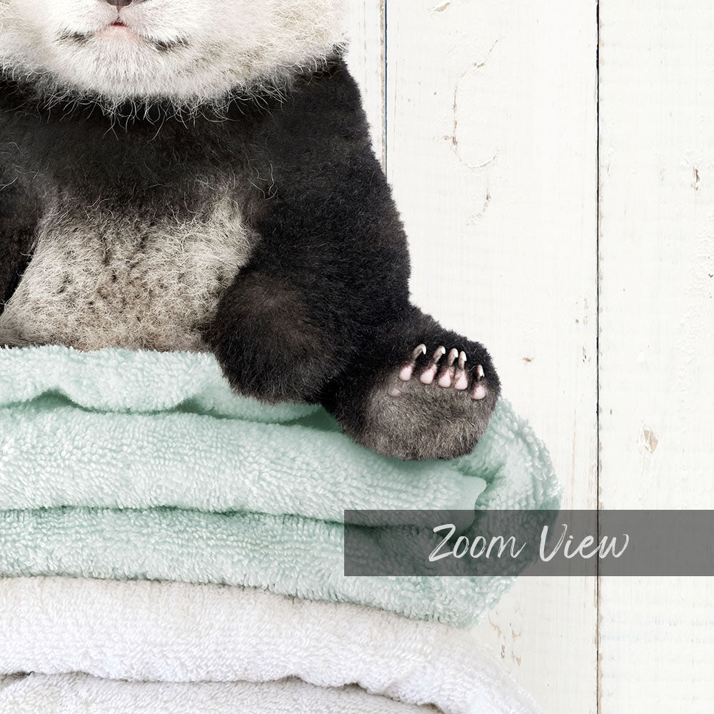 Baby Panda on Folded Towels - Farmhouse Wall