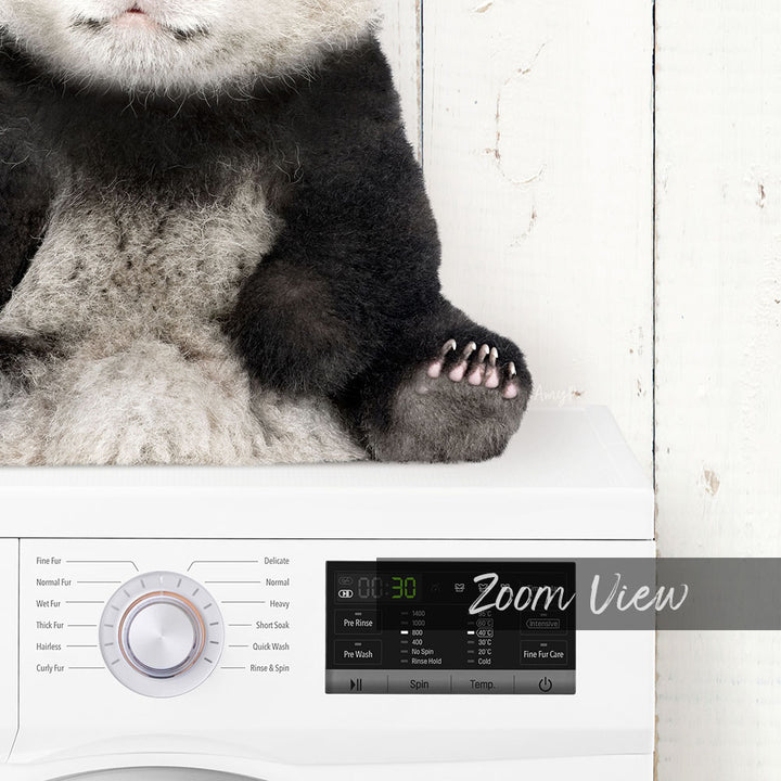 Baby Panda on Washing Machine - Farmhouse Wall