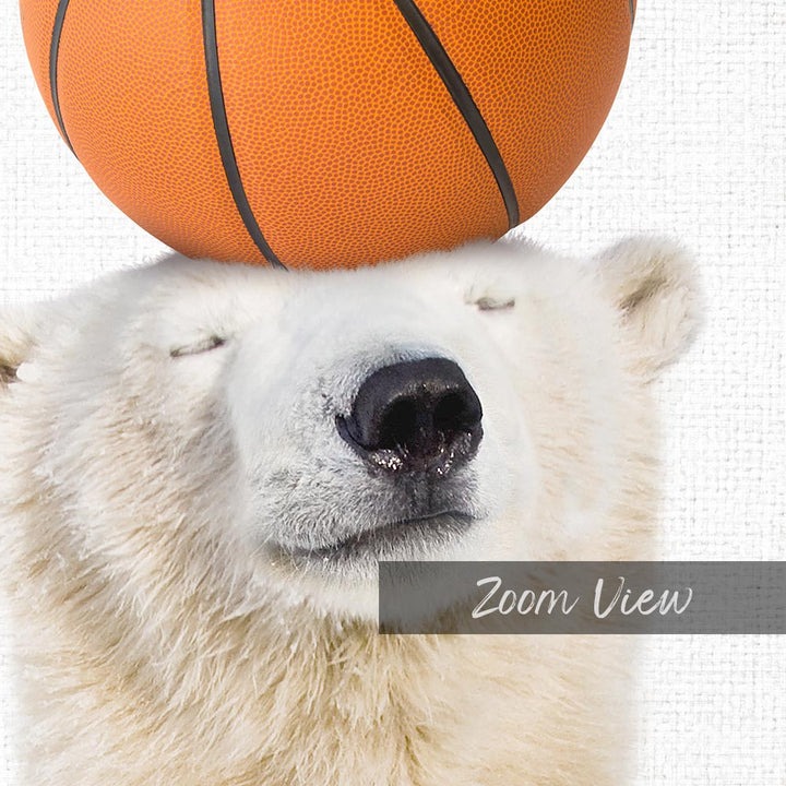 Polar Bear Basketball