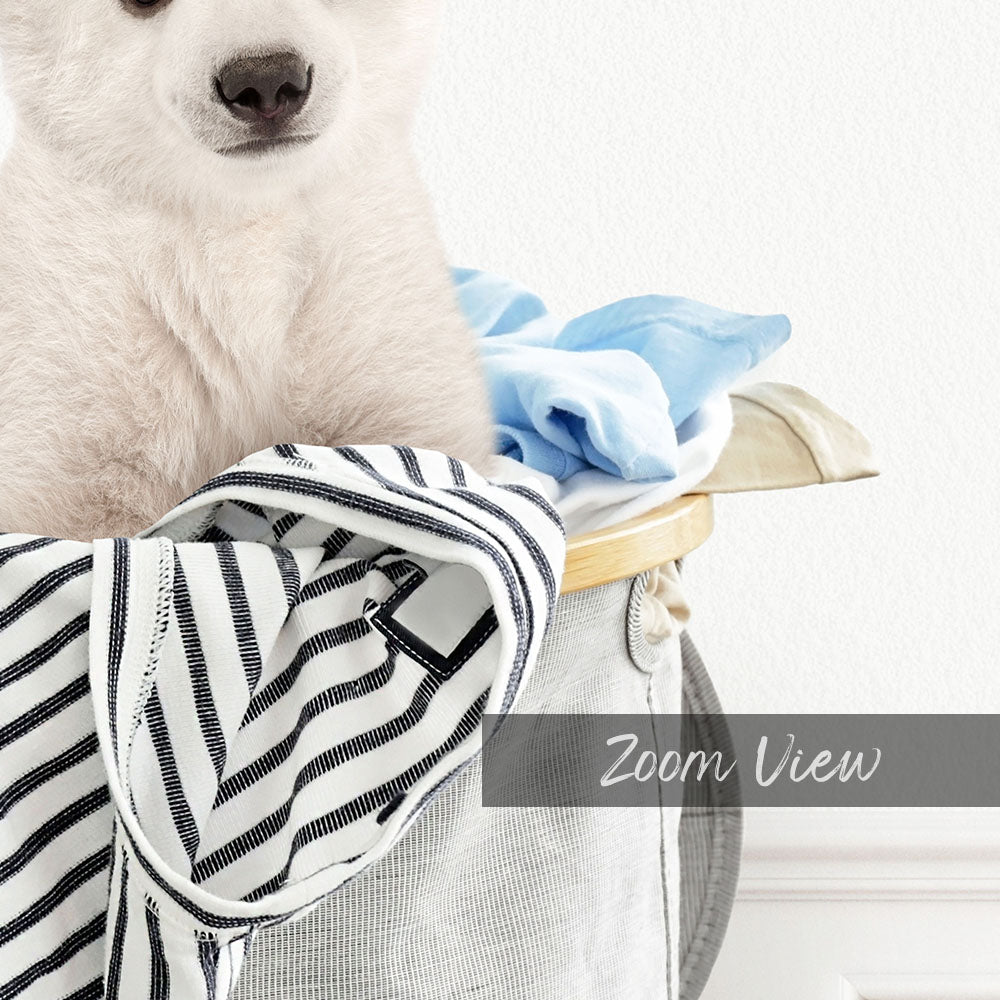 Polar Bear Cub in Laundry Basket - Simple White Wall