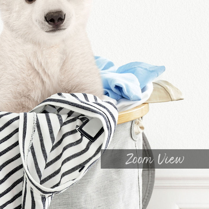 Polar Bear Cub in Laundry Basket - Simple White Wall