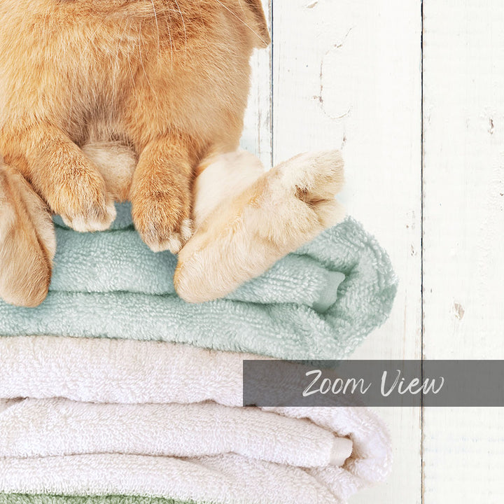 Pudgy Bunny on Folded Towels - Farmhouse Wall
