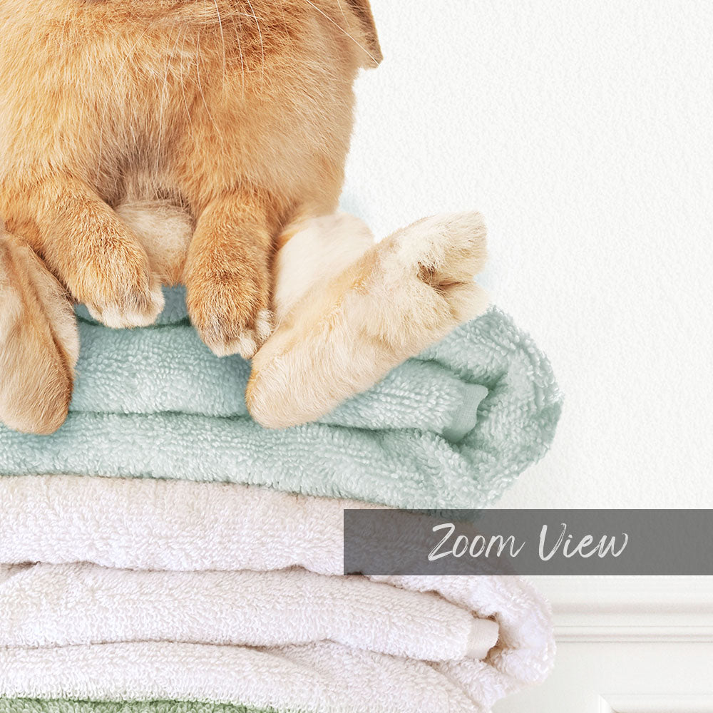 Pudgy Bunny on Folded Towels - Simple White Wall