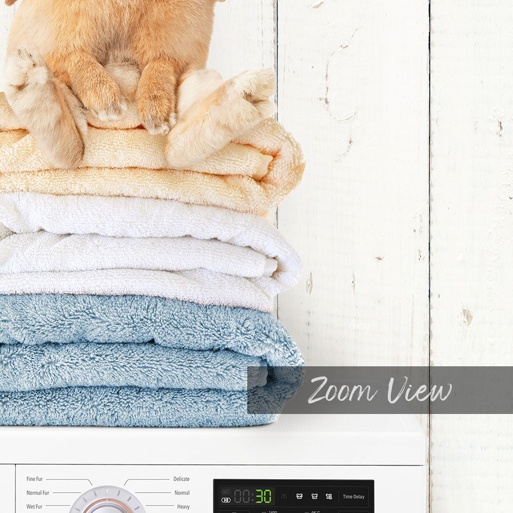 Pudgy Bunny on Folded Towels on Washing Machine - Farmhouse Wall