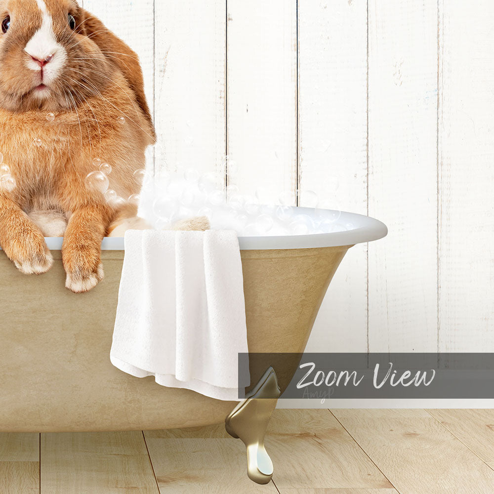 Pudgy Bunny in Farmhouse Bath