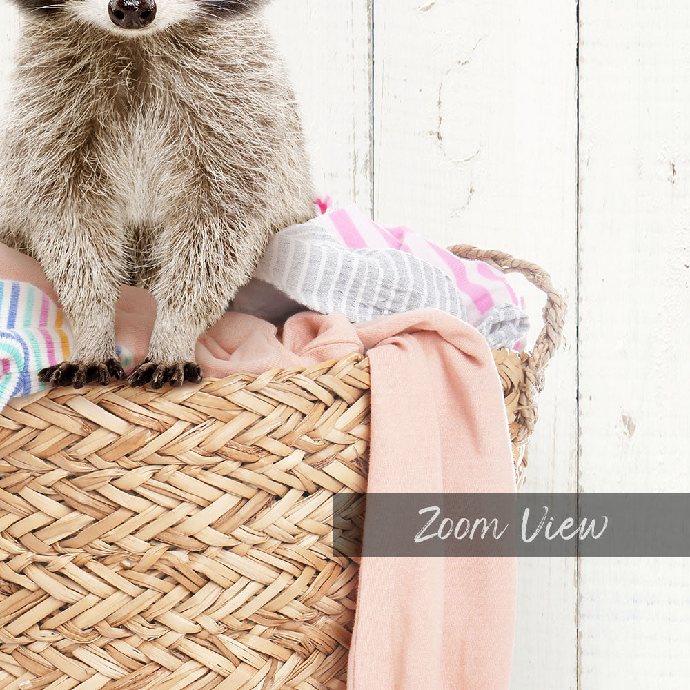 Baby Raccoon in Laundry Basket - Farmhouse Wall