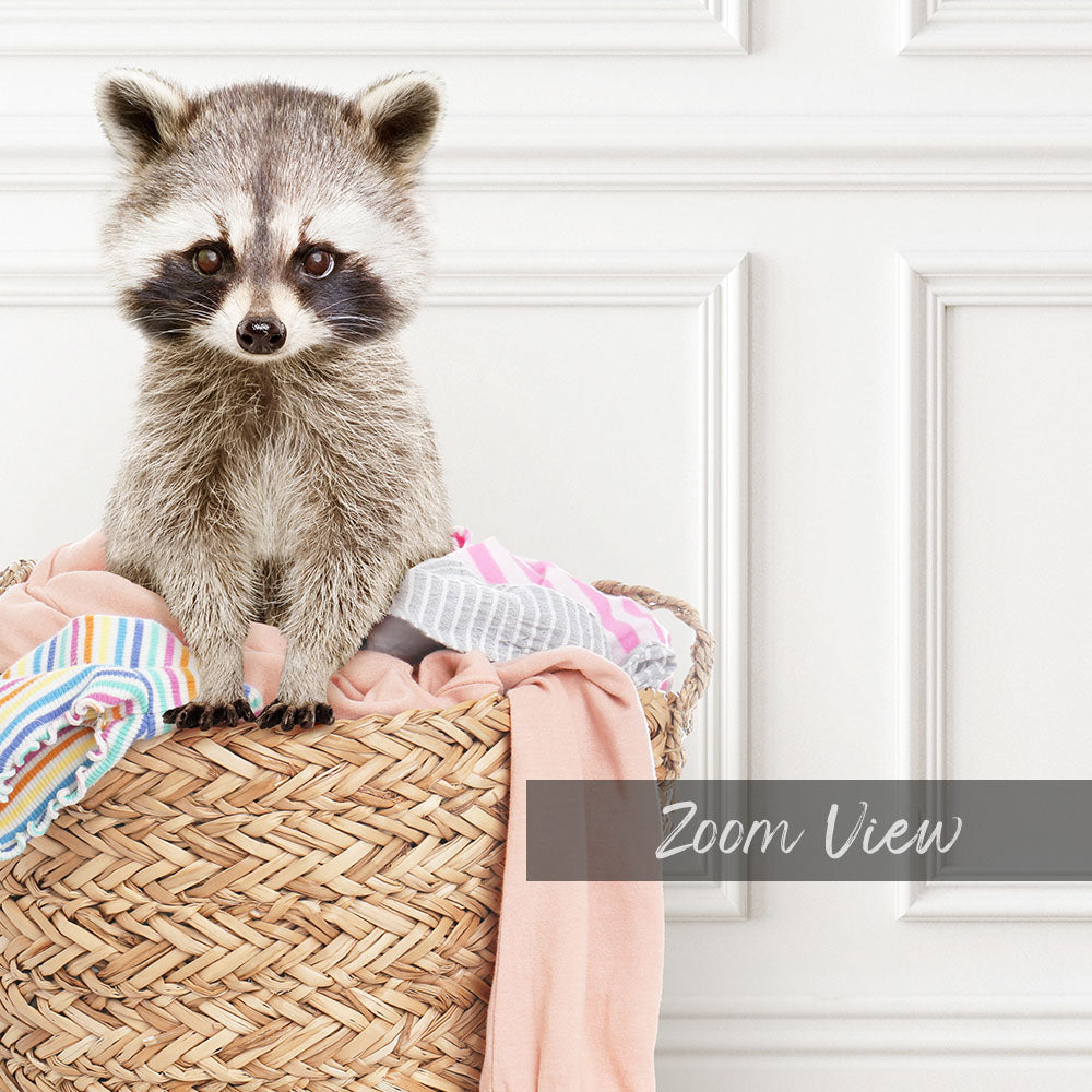 Raccoon in Laundry Basket - Classic White Floor