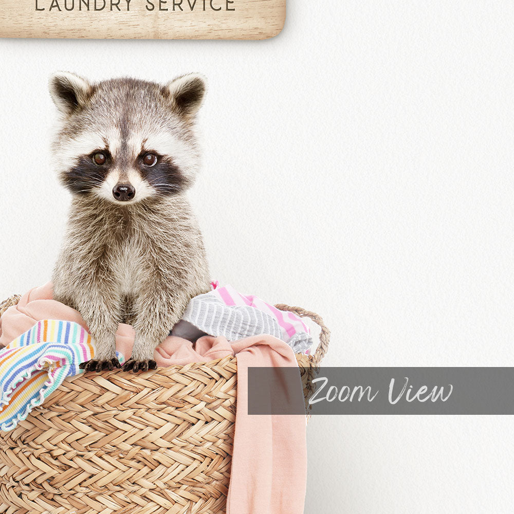 Raccoon in Laundry Basket - Scandi Floor