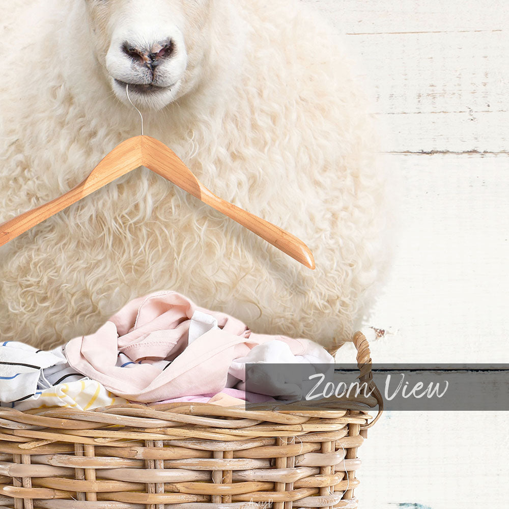 Sheep in Laundry Basket with Hanger - Farmhouse Wall Funny Sayings