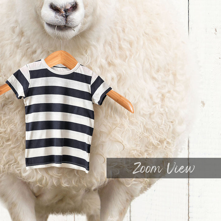 Sheep With Clothes Hanger - Farmhouse Wall