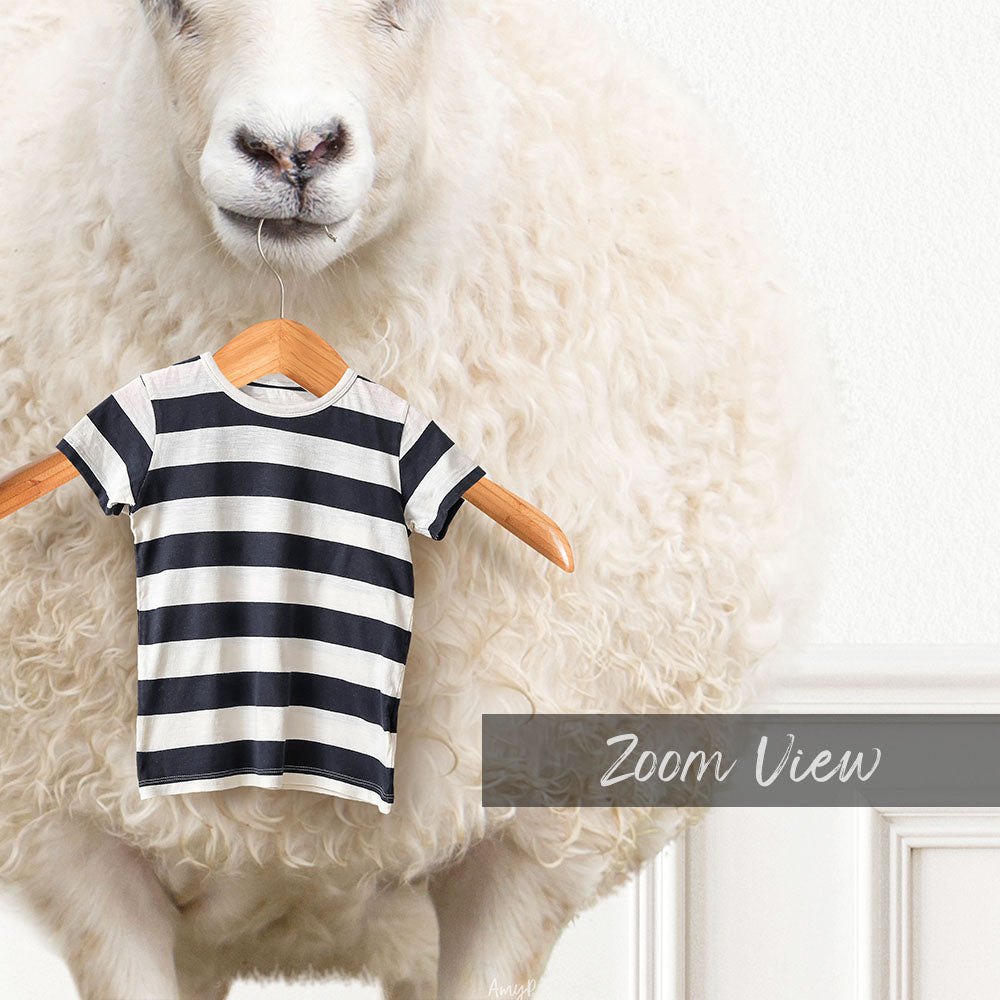 Sheep "Ewe & Me Doin' Laundry"