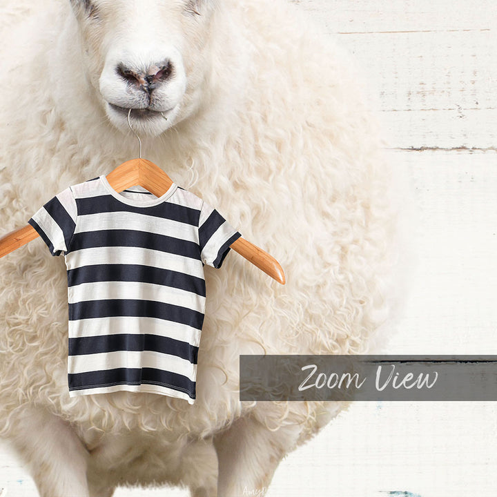 Sheep with Laundry Hanger - Farmhouse Wall Funny Sayings