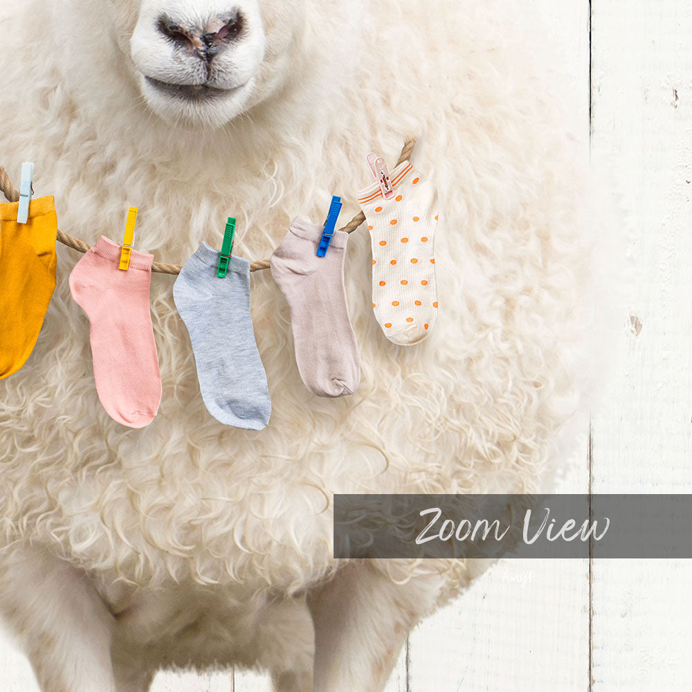 Sheep With Lost Laundry Socks - Farmhouse Wall