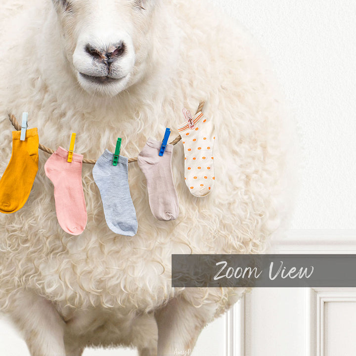 Sheep Finders Keepers Lost Socks