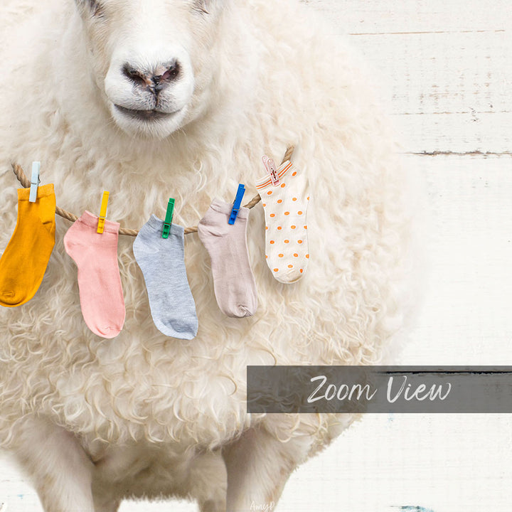 Sheep Lost Socks Finders Keepers - Farmhouse Wall Funny Sayings