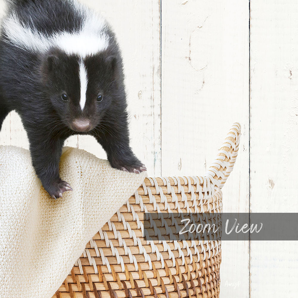 Skunk in Laundry Basket - Farmhouse Wall