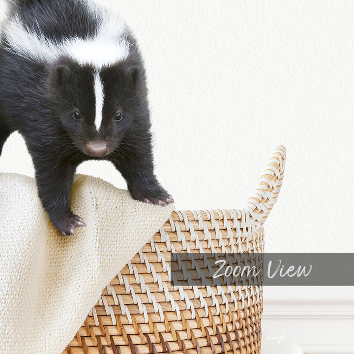 Skunk in Laundry Basket - Simple White Wall