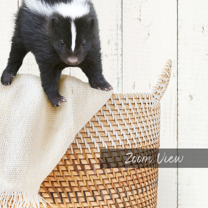 Skunk in Laundry Basket - Farmhouse Wall
