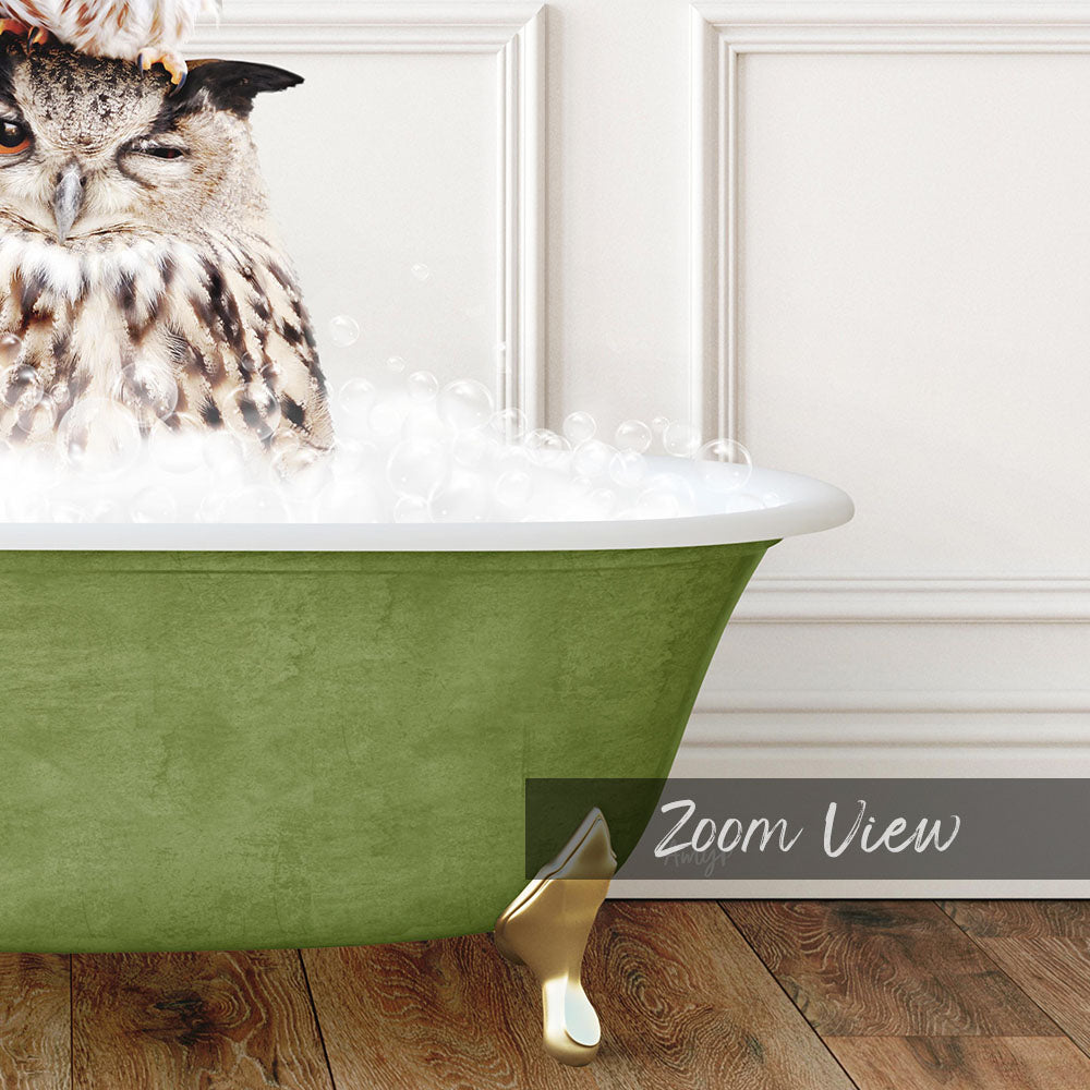 Stacked Owls in Transitional Bath Style