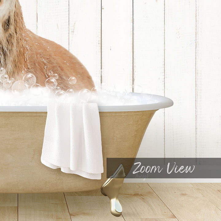 Male Deer in Farmhouse Bath