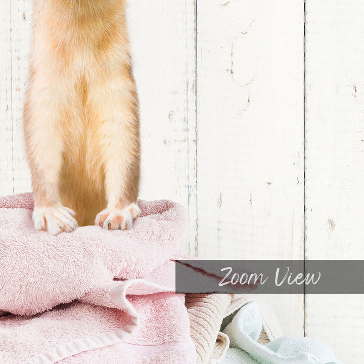 Weasel Clothes Pile - Farmhouse Wall