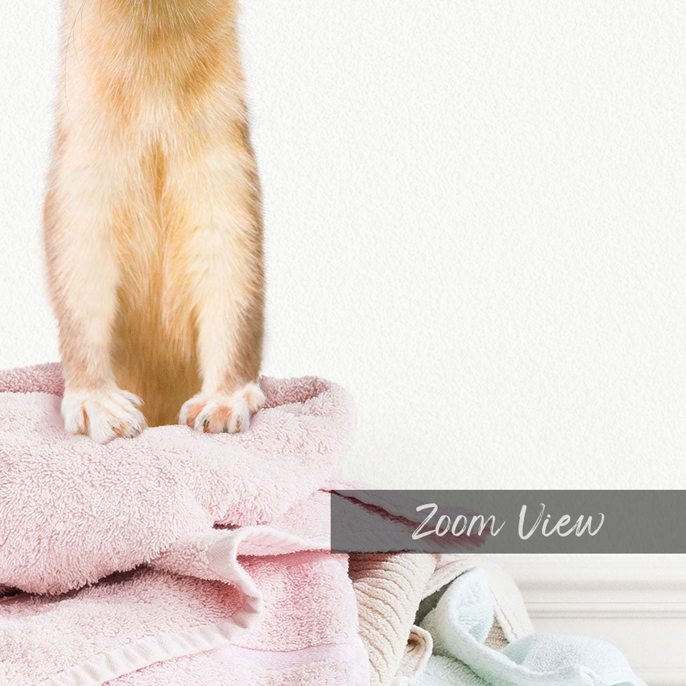 Weasel Clothes Pile - Simple White Wall