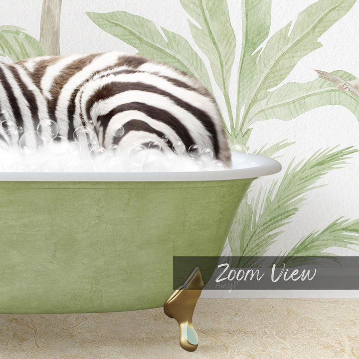 Baby Zebra in Safari Bath