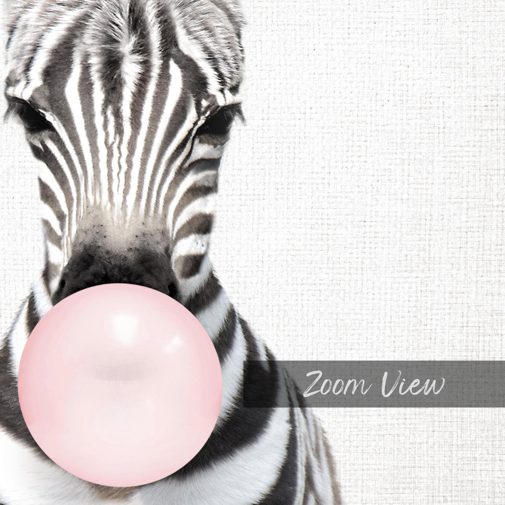 Baby Zebra Blowing Pink Bubble Gum