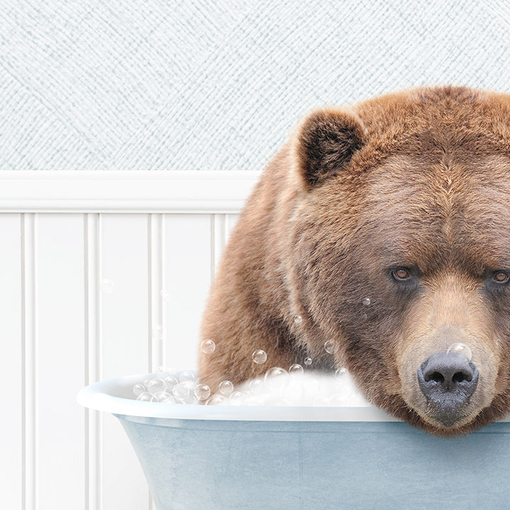 Big Bear in Cottage Blue Bath