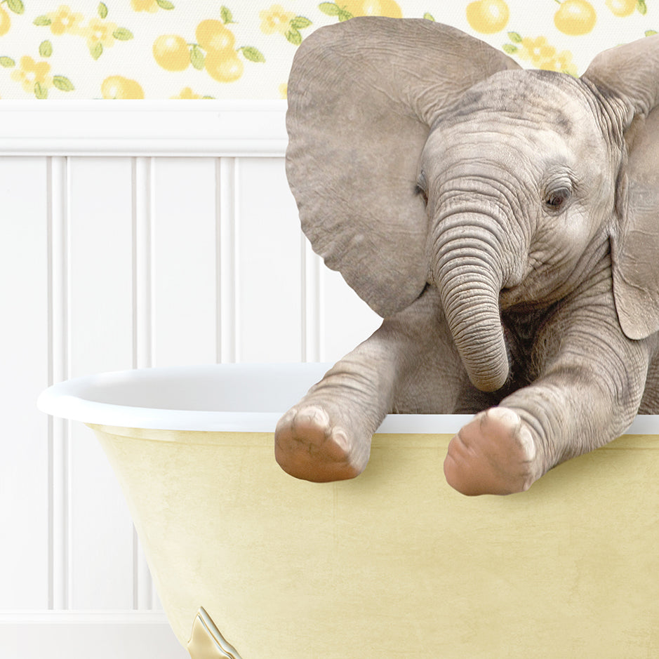 a baby elephant is sitting in a bathtub