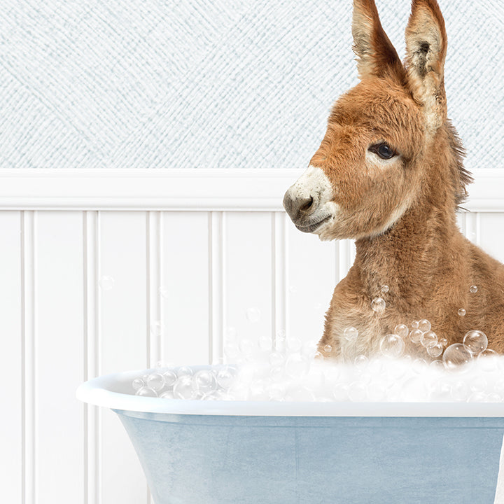 Baby Donkey in Cottage Blue Bath