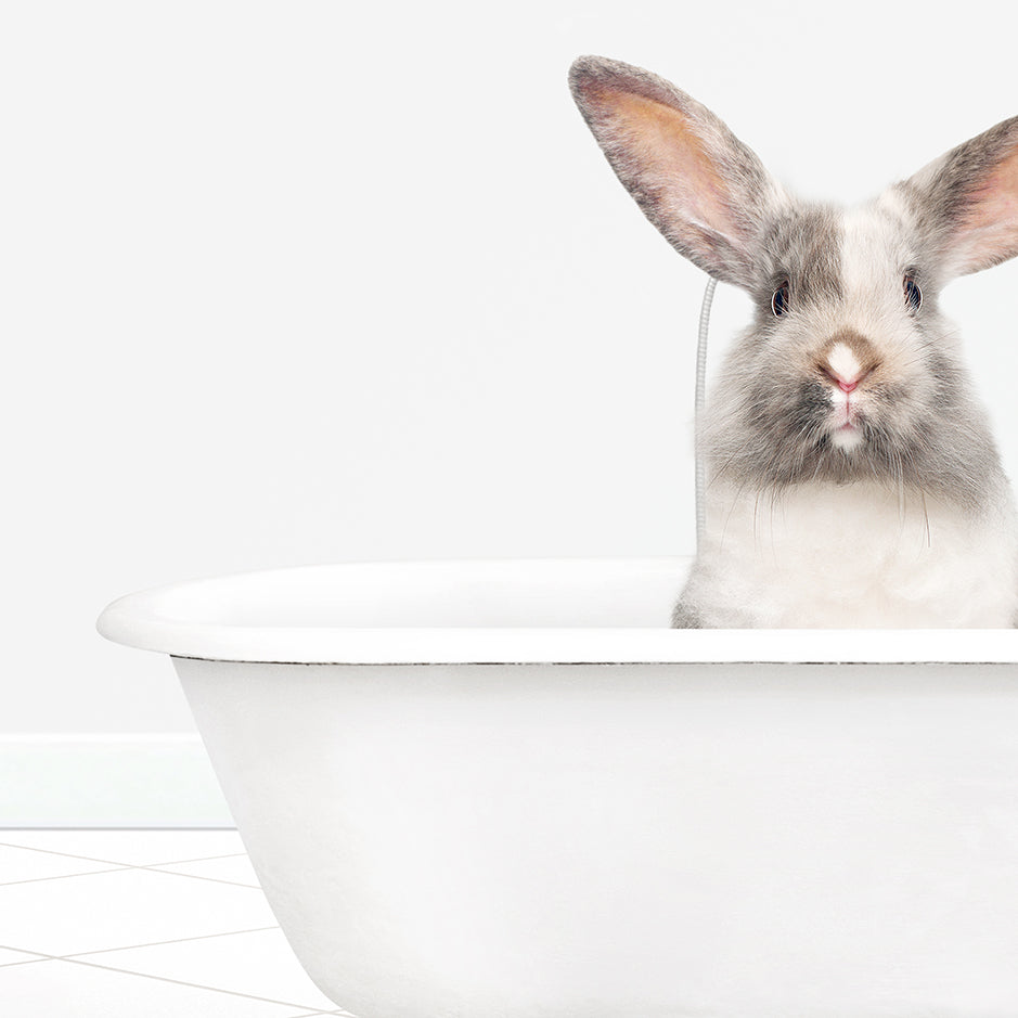 a rabbit sitting in a bathtub with its head sticking out