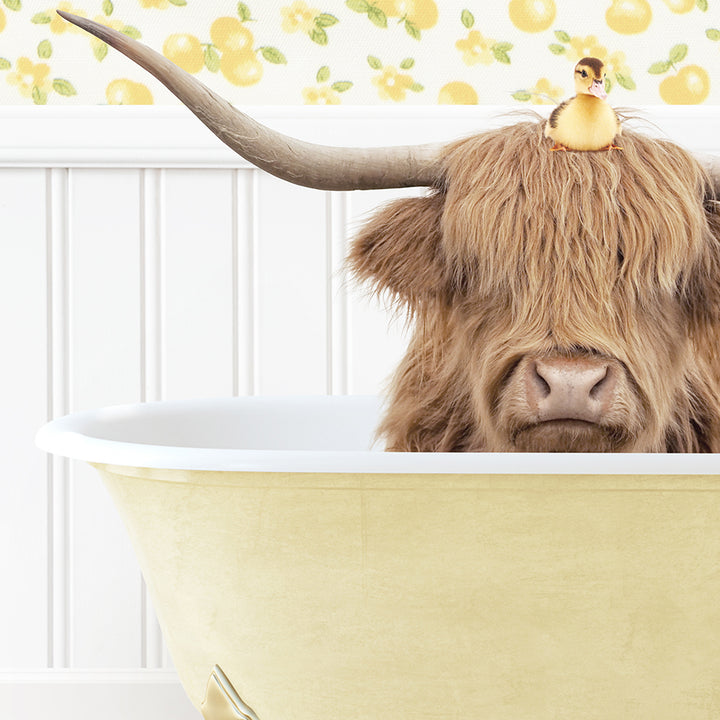 a bull with long horns is sitting in a bathtub