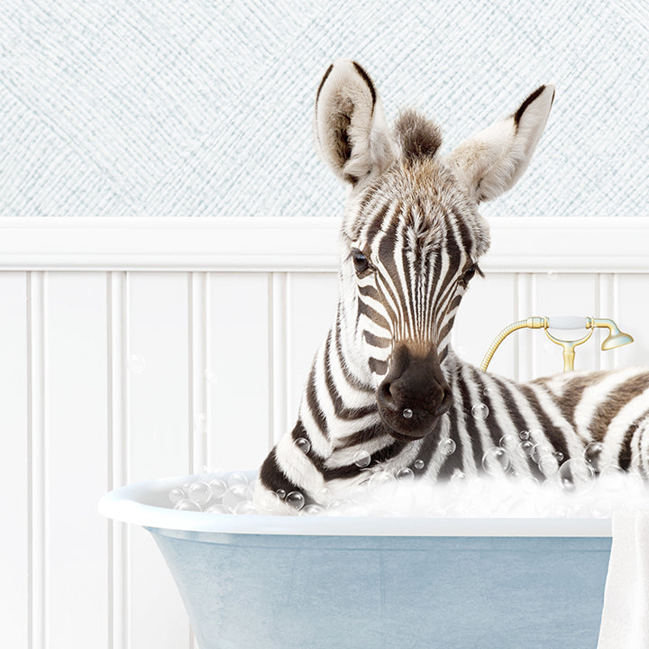 Baby Zebra in Cottage Blue Bath