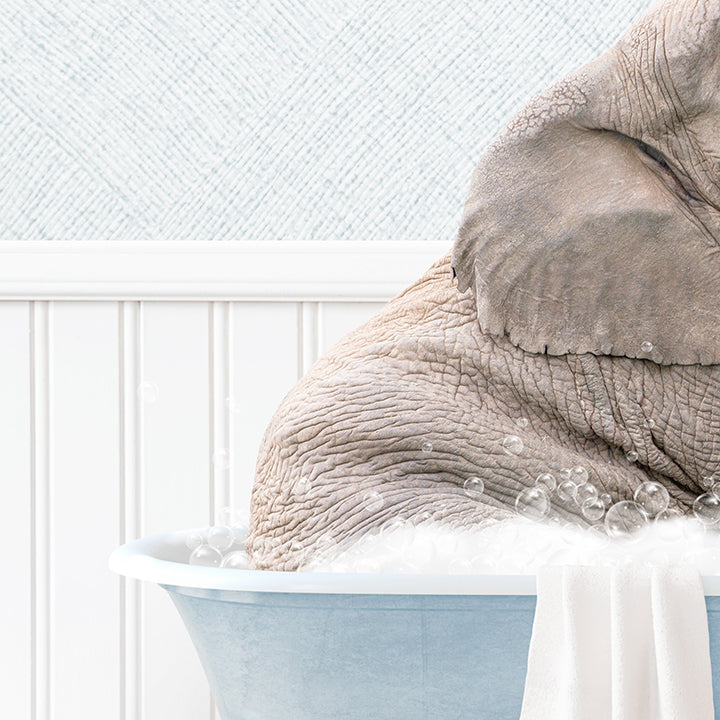 Young Elephant in Cottage Blue Bath