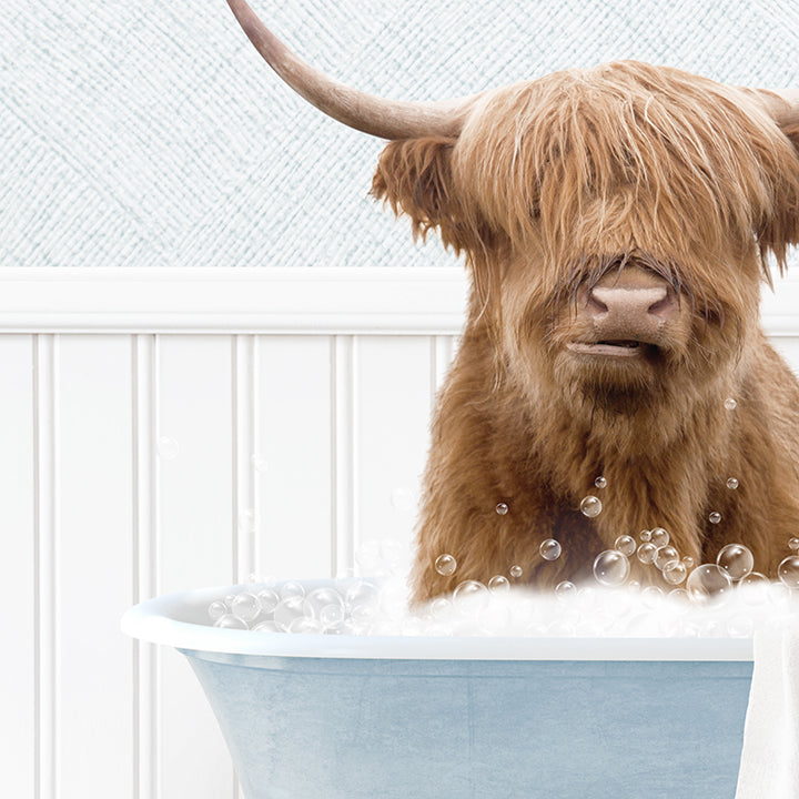 Highland Cow in Cottage Blue Bath