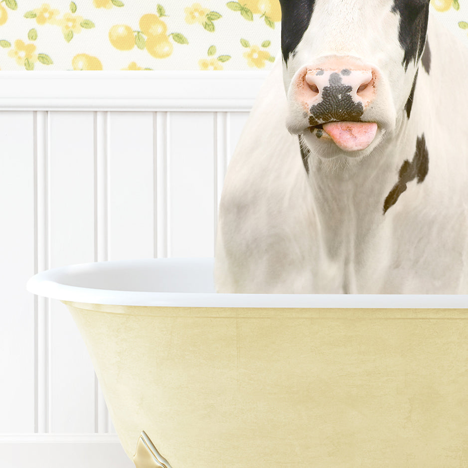 a cow sticking its tongue out in a bathtub