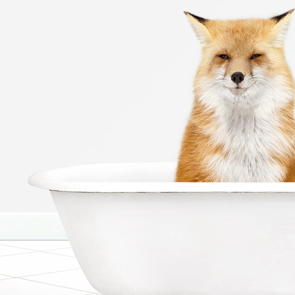 a close up of a fox in a bathtub