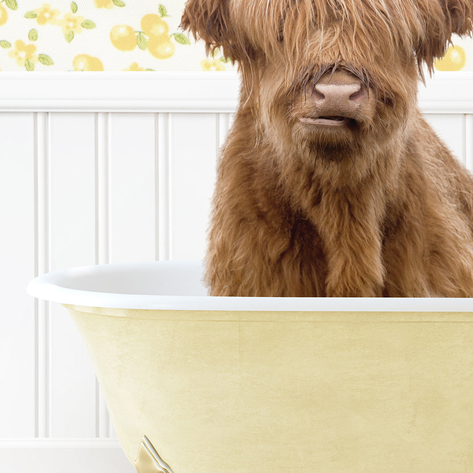 a shaggy haired dog sitting in a bathtub