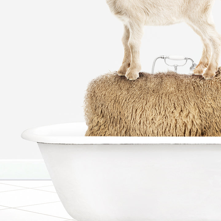 a goat standing on top of a bath tub