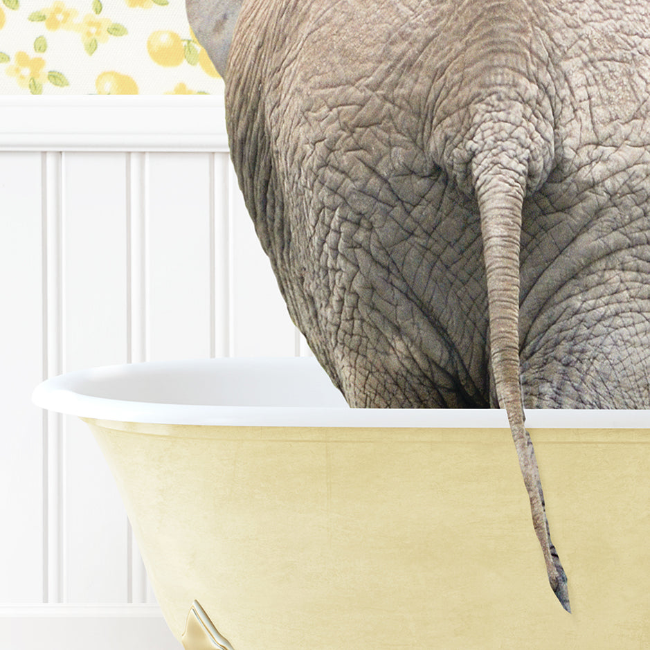 an elephant standing in a bathtub with its trunk in the water