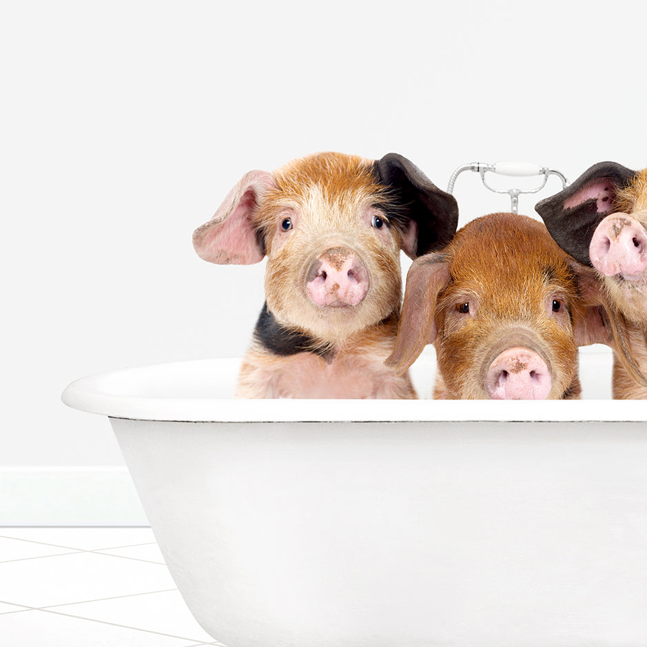 three little pigs are sitting in a bathtub