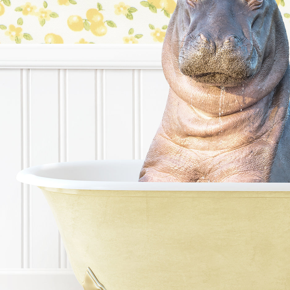 a hippopotamus sitting in a bathtub in a bathroom