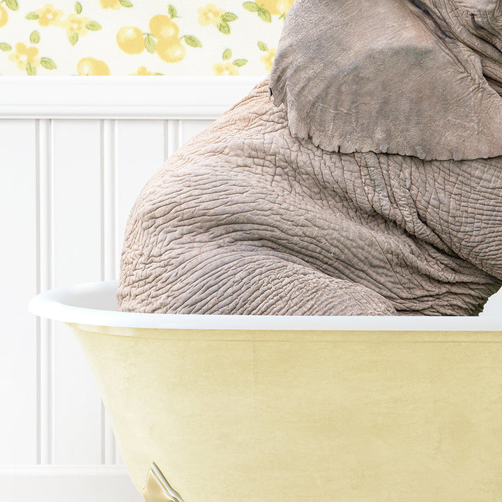 an elephant sitting in a bathtub with its trunk on the edge