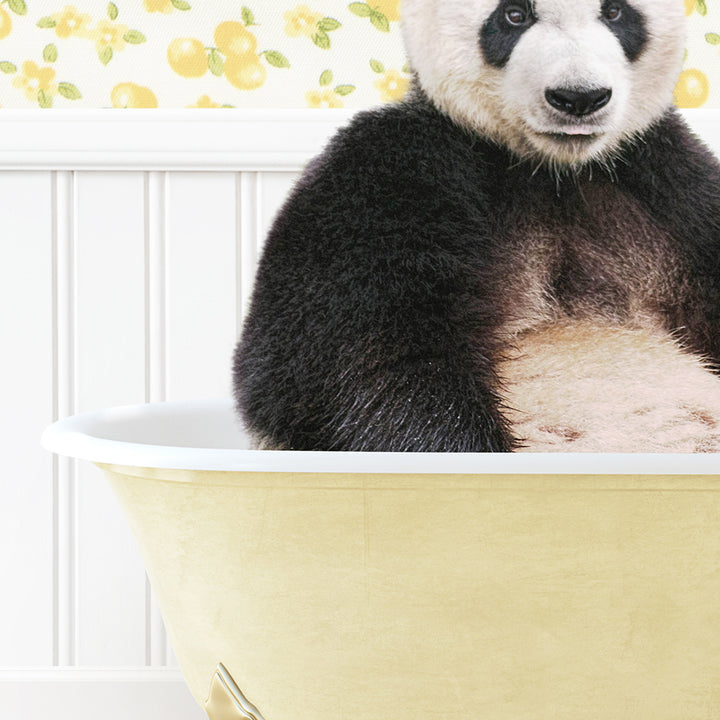 a panda bear sitting in a bath tub